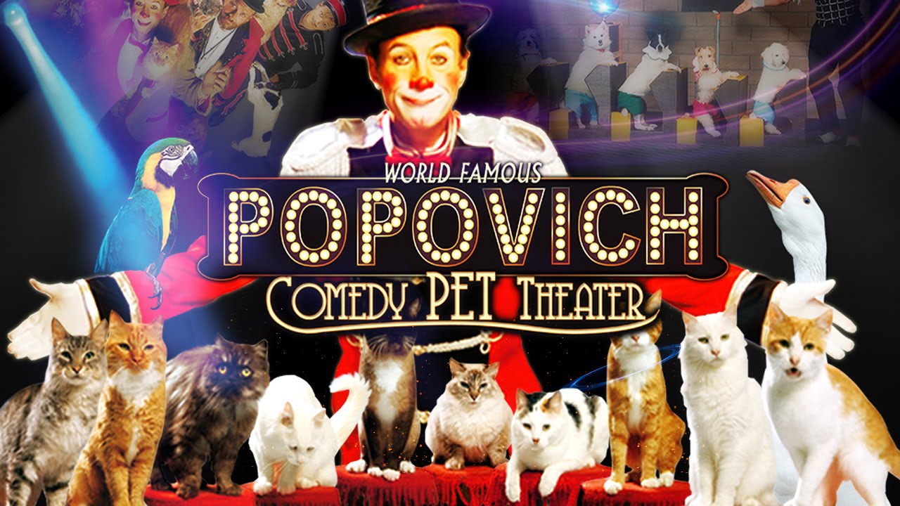 Popovich Comedy Pet Theater